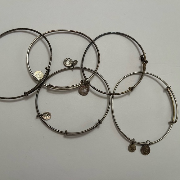 Alex and Ani Jewelry - Alex and Ani Silver Charm Bracelet Set